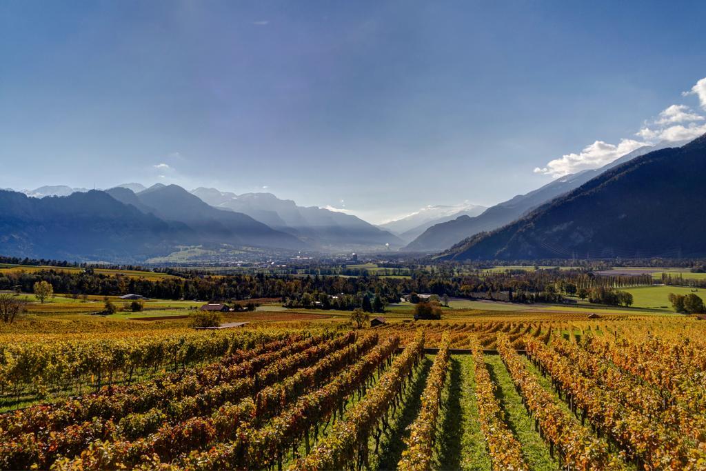 Gasthof Zur Buendte Jenins Buitenkant foto